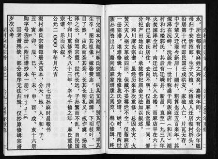 浙江麻氏族谱-湖村麻氏宗谱 [4卷].pdf电子版预览图4