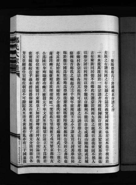 浙江郑氏族谱-湖横西岙郑氏宗谱 [不分卷].pdf电子版预览图5