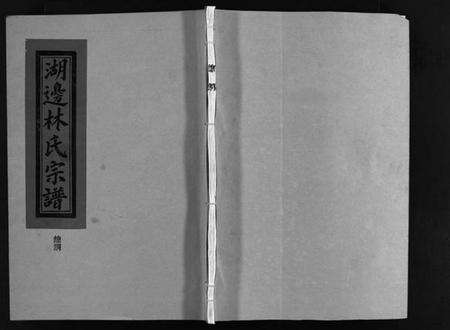 浙江林氏族谱-湖边林氏宗谱 [不分卷].pdf电子版预览图1