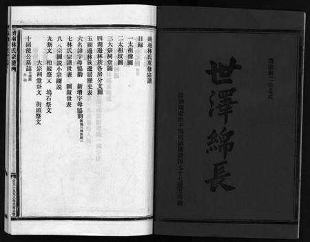 浙江林氏族谱-湖边林氏宗谱 [不分卷].pdf电子版预览图3