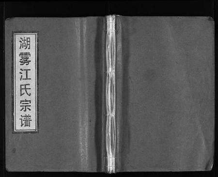 浙江江氏族谱-湖雾江氏宗谱 [不分卷].pdf电子版预览图1