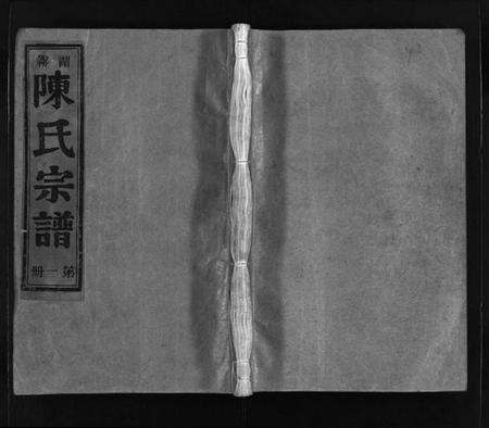 浙江陈氏族谱-湖雾陈氏宗谱 [3册].pdf电子版预览图1