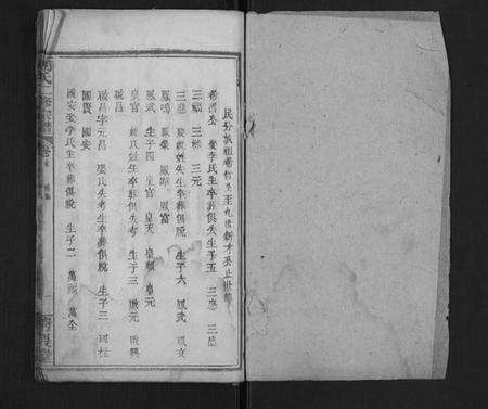 湖北胡氏族谱-胡氏二修宗谱.pdf电子版预览图1