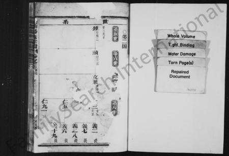 浙江汤氏族谱-溪南汤氏宗谱 [残卷].pdf电子版预览图2