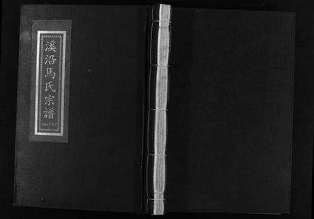 浙江马氏族谱-溪沿马氏宗谱 [不分卷].pdf电子版预览图1