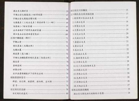 湖北胡氏族谱-胡氏宗谱.pdf电子版预览图5