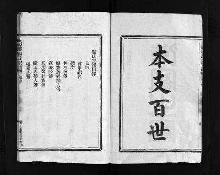 浙江温氏族谱-温氏宗谱 [不分卷].pdf电子版预览图3