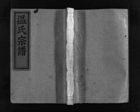 浙江温氏族谱-温氏宗谱 [不分卷].pdf电子版预览图1