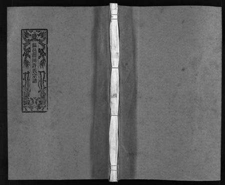 浙江许氏族谱-温邑渭川许氏宗谱 [2卷].pdf电子版预览图1