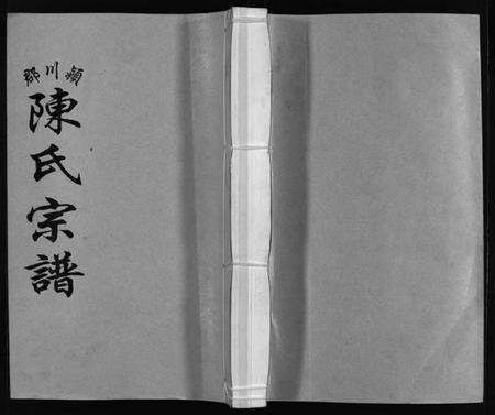 浙江陈氏族谱-颍川郡陈氏宗谱 [不分卷].pdf电子版预览图1