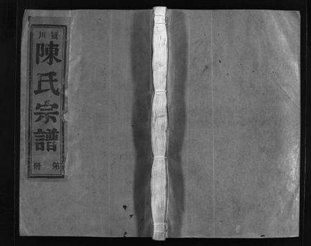 浙江陈氏族谱-颍川陈氏宗谱 [不分卷].pdf电子版预览图1