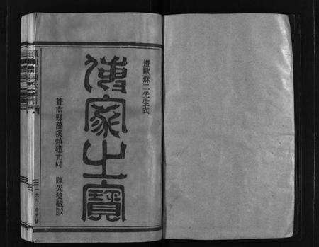 浙江陈氏族谱-颍川陈氏宗谱 [不分卷].pdf电子版预览图2