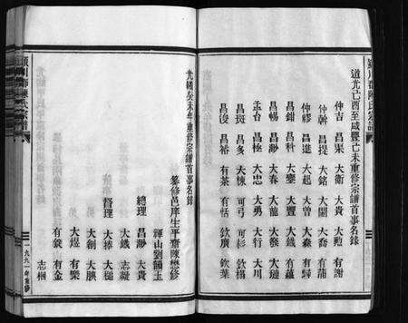 浙江陈氏族谱-颍川陈氏宗谱 [不分卷].pdf电子版预览图4