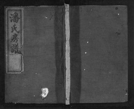 浙江潘氏族谱-潘氏耻房宗谱.pdf电子版缩略图