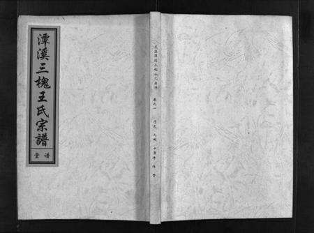 浙江王氏族谱-潭溪三槐王氏宗谱 [9卷].pdf电子版预览图1