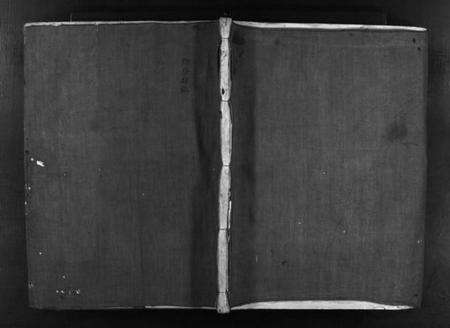 浙江李氏族谱-潭头李氏宗谱 [不分卷].pdf电子版预览图1