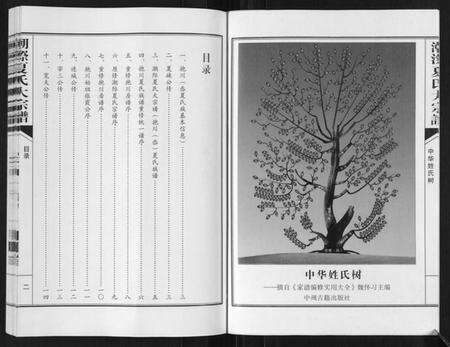 浙江夏氏族谱-潮漈夏氏大宗谱[不分卷].pdf电子版预览图3