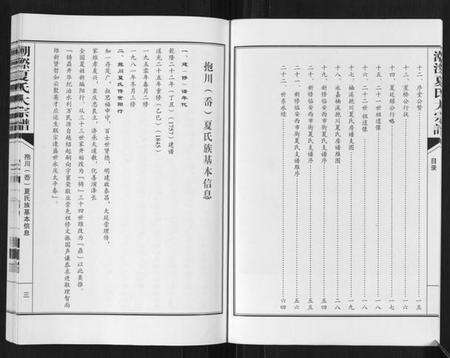 浙江夏氏族谱-潮漈夏氏大宗谱[不分卷].pdf电子版预览图4