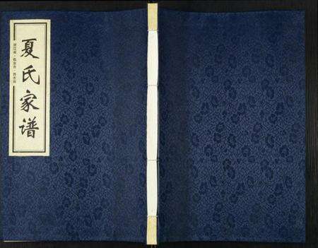 浙江夏氏族谱-潮灿夏氏家谱.pdf电子版缩略图