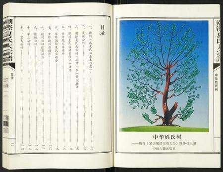 浙江夏氏族谱-潮灿夏氏家谱.pdf电子版预览图3