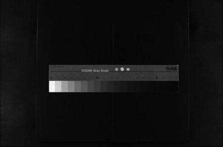 浙江林氏族谱-泽前林氏宗谱 [不分卷].pdf电子版缩略图