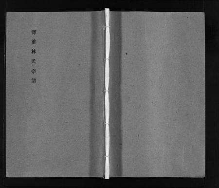 浙江林氏族谱-泽前林氏宗谱 [不分卷].pdf电子版预览图1