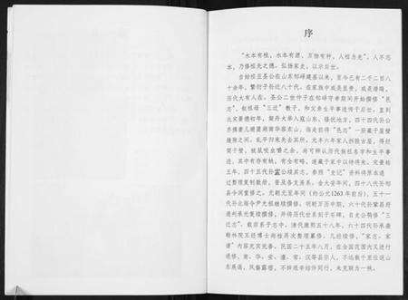 湖南孟氏族谱-孟氏大家庭家志[4卷].pdf电子版预览图5