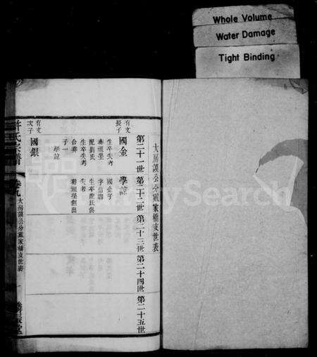 中国许氏族谱-许氏宗谱.pdf电子版预览图2