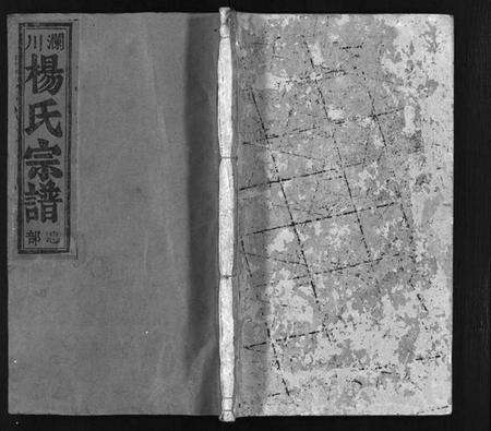 浙江杨氏族谱-澜川杨氏宗谱 [4卷].pdf电子版预览图1