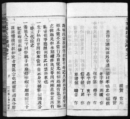 浙江杨氏族谱-澜川杨氏宗谱 [4卷].pdf电子版预览图5