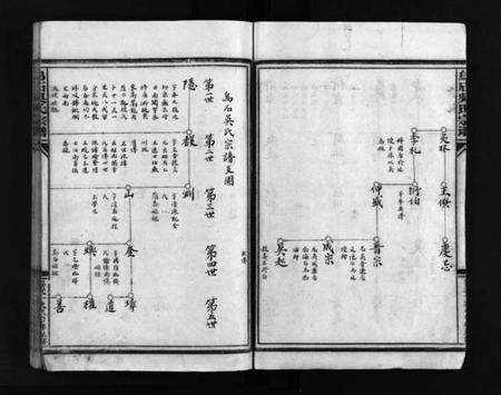 浙江吴氏族谱-乌石吴氏宗谱.pdf电子版预览图4