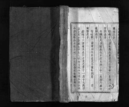 浙江王氏族谱-玉乐瑞平太王氏宗谱 [4卷].pdf电子版预览图1