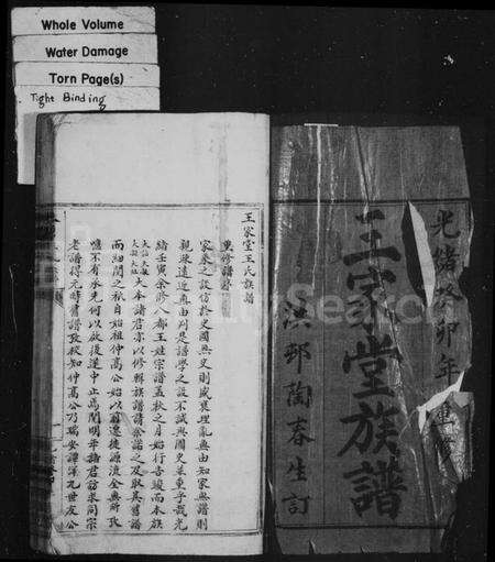 浙江王氏族谱-王家堂族谱.pdf电子版预览图3