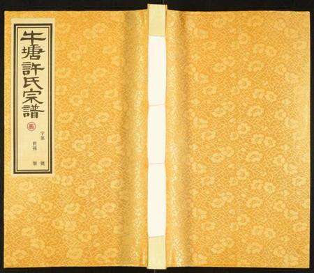 江苏许氏族谱-许氏宗谱.pdf电子版缩略图