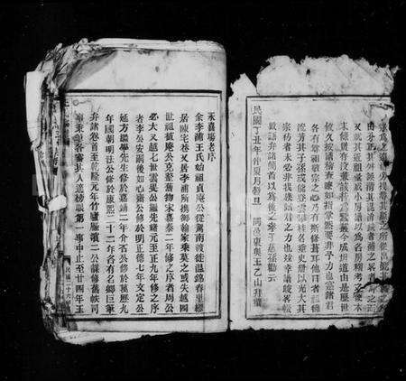 浙江王氏族谱-王氏宗谱.pdf电子版预览图2