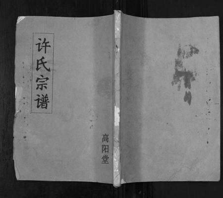 江苏许氏族谱-许氏宗谱[不分卷].pdf电子版缩略图