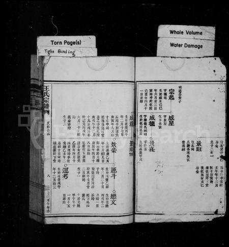 浙江王氏族谱-王氏宗谱.pdf电子版预览图2