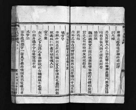 浙江王氏族谱-王氏宗谱 [4卷].pdf电子版预览图5