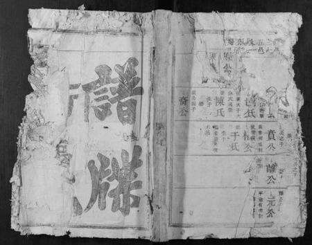 浙江王氏族谱-王氏续修族谱[不分卷].pdf电子版缩略图