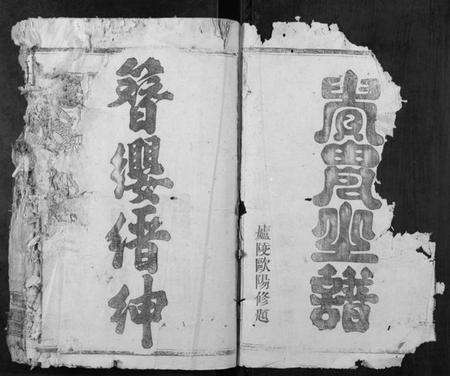 浙江王氏族谱-王氏续修族谱[不分卷].pdf电子版预览图2