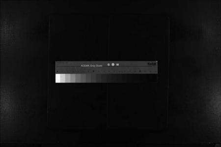 浙江陈氏族谱-玠屿陈氏大宗谱 [不分卷].pdf电子版缩略图