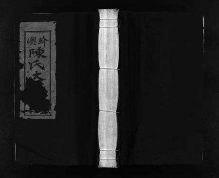 浙江陈氏族谱-玠屿陈氏大宗谱 [不分卷].pdf电子版预览图1