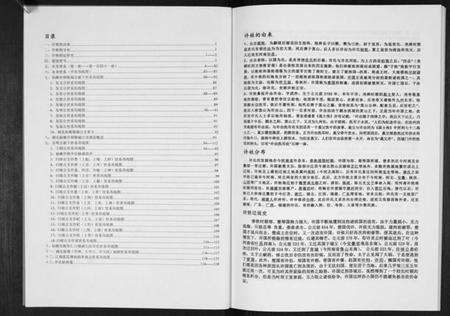 湖北许氏族谱-许氏总谱[不分卷].pdf电子版预览图2