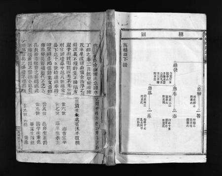 浙江陈氏族谱-玠屿陈氏宗谱 [不分卷].pdf电子版预览图1