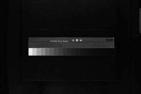 浙江陈氏族谱-珠川五地陈氏宗谱 [不分卷].pdf电子版缩略图