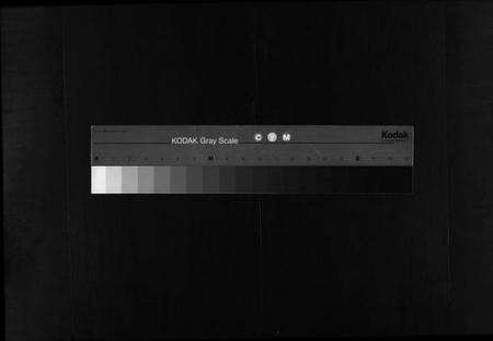 浙江潘氏族谱-琴山潘氏宗谱 [2卷].pdf电子版缩略图