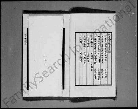 浙江姚氏族谱-瑞安姚氏家乘.pdf电子版预览图4