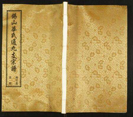 江苏华氏族谱-华氏通九支宗谱.pdf电子版缩略图