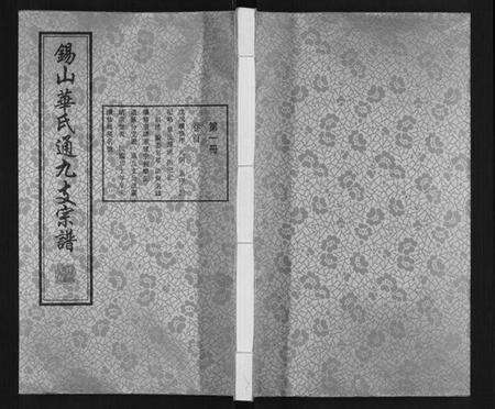 江苏华氏族谱-华氏通九支宗谱[28卷首1卷 统宗附谱1卷].pdf电子版缩略图