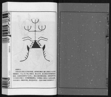 江苏华氏族谱-华氏通九支宗谱[28卷首1卷 统宗附谱1卷].pdf电子版预览图2